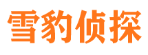 鸠江市侦探公司